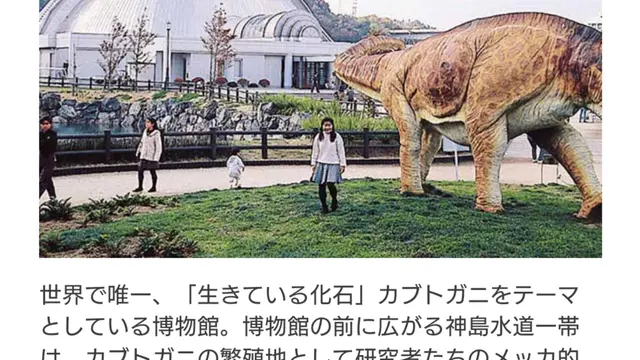 岡山離島ゴリきのこ旅