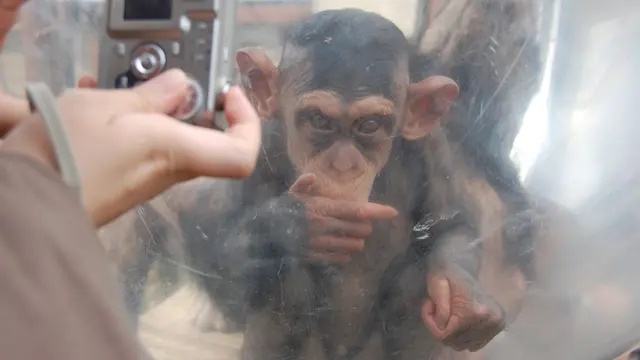 はじめての旭山動物園＆富良野観光