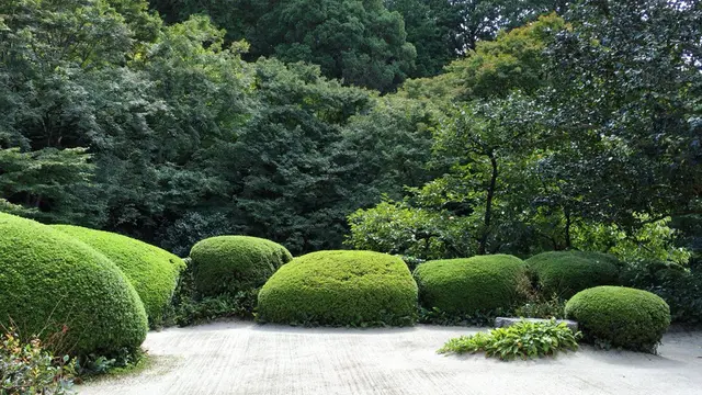読書好きに!京都下鴨〜一乗寺の街歩き