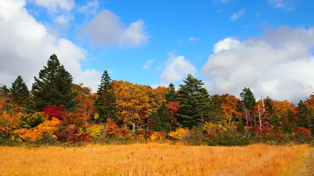 紅葉とワイルドな野湯を満喫 秋田焼山へ登山