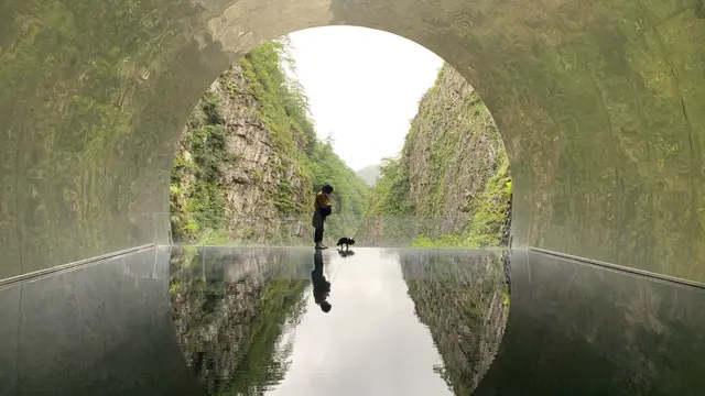 わんこと佐渡島