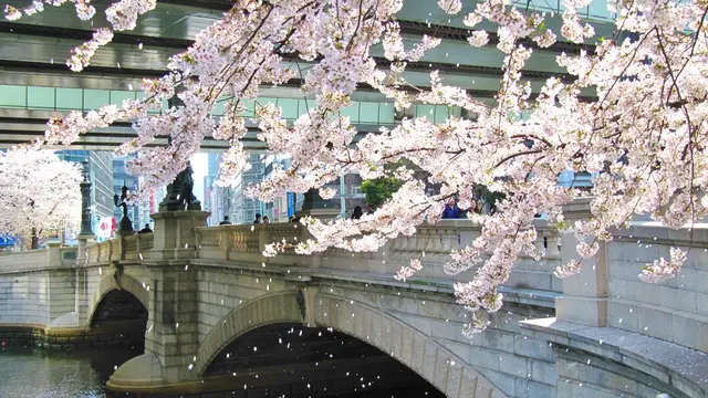道路の原点「日本橋」の見どころスポット♪