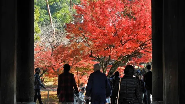 紅葉を求めて南禅寺とその周辺をブラ散歩