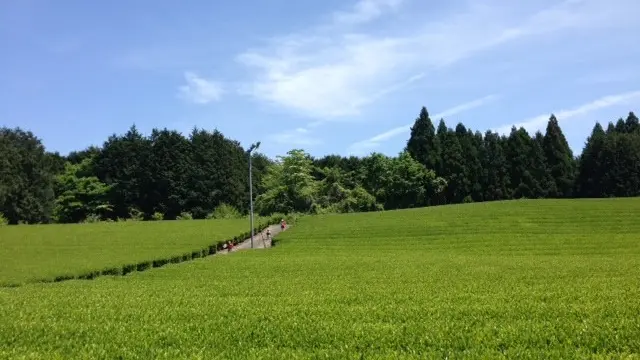 富士山の見える"農家民宿"で土に触れるゆるり旅。