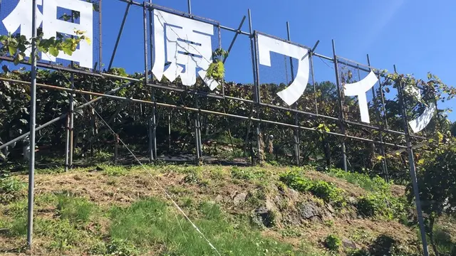 大人の遠足！　カタシモワイナリーツアー