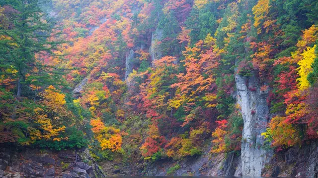 カヌーで水上から紅葉を楽しむ！／ならまた湖・群馬
