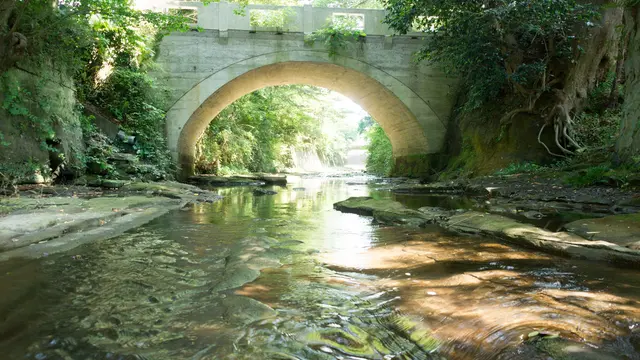 鎌倉 私的撮影スポット(七里ヶ浜、東勝寺橋、鎌倉宮)