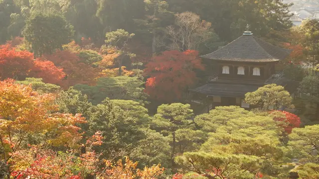 京都の紅葉と言えば!そうだ 銀閣寺、行こう。
