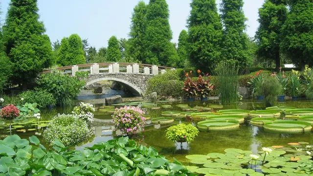 湖岸道路を爽快に！琵琶湖ドライブ☀︎草津〜近江八幡編