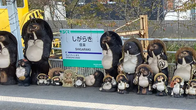 【甲賀市信楽】たぬきがたくさん〜弾丸！ぶらり旅〜🚶‍♀️1人プチtrip🚋