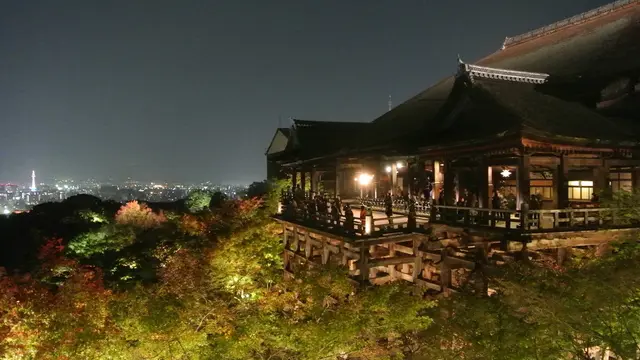 ライトアップされた夜の清水寺へ！