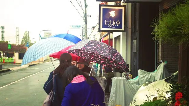 秋の紅葉狩りはこれから！京都をぶらりと観光しよう〜♪