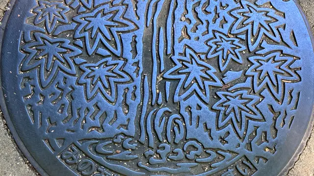 大阪 箕面🍁日本4弁財天のお寺と滝で開運🌈
