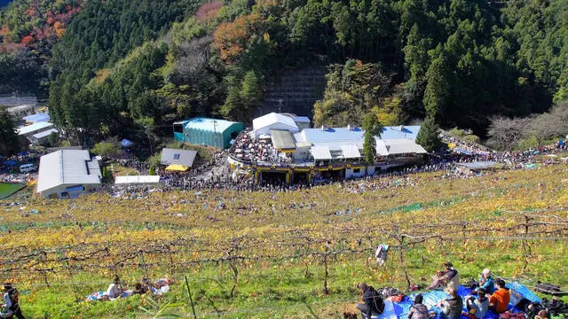 ココ・ファーム・ワイナリーの収穫祭に行ってみよう!/足利