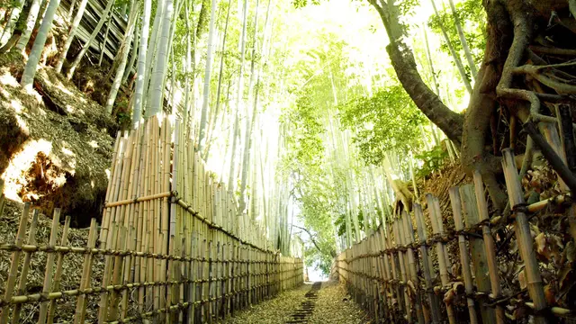 坂と暮らす街「佐倉」。旧佐倉城下の坂を歩いて一昔前にタイムスリップしてみよう♪