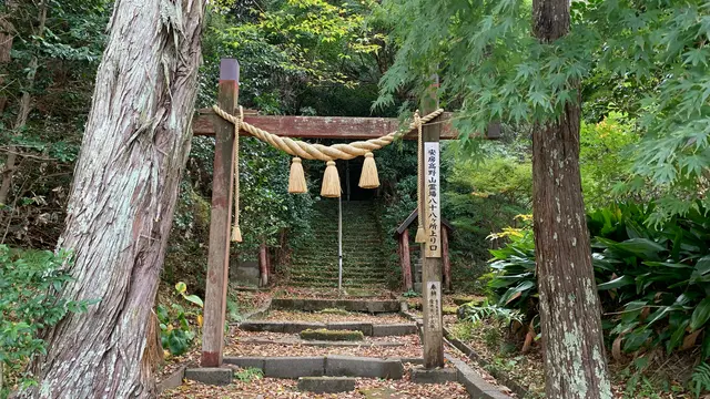 【千葉県】レンタサイクルでグルメと観光地を巡る日帰り館山の旅🚲✨