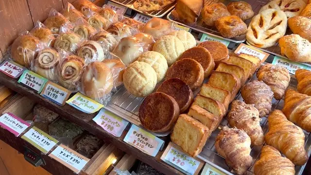 【広島県】ホテルステイと尾道・広島市内を満喫するおすすめプラン🚶♀️❣️