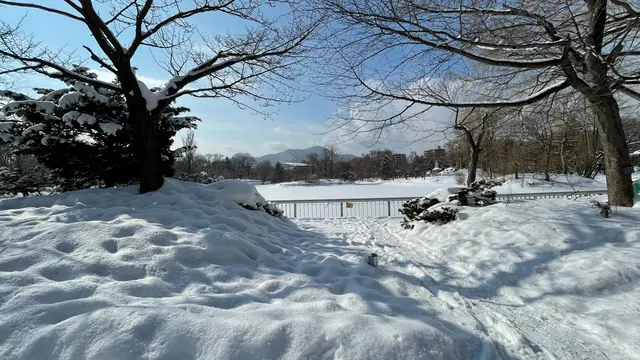 雪まつりと札幌旅行