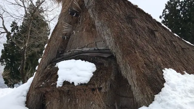 【富山県】五箇山合掌造り集落を巡る日帰り旅