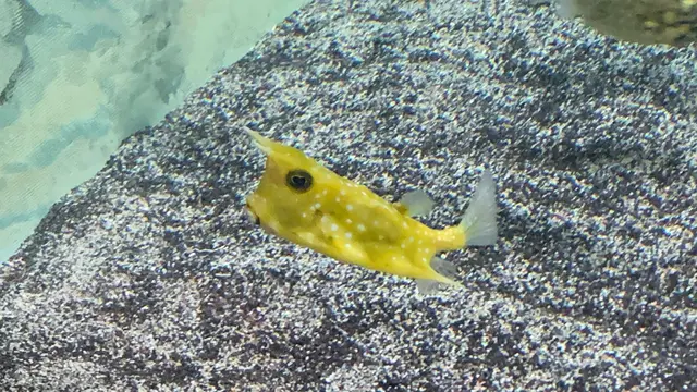 淡路島旅行🐡※記録