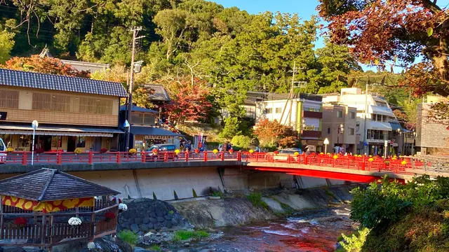 踊り子号で三島🗻修善寺♨️御殿場イルミ🌟2泊3日 行程表有り