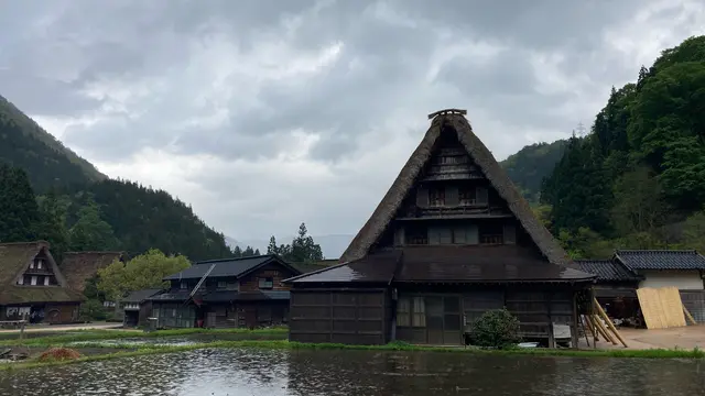 【富山】春旅✿射水〜氷見の旅 2021