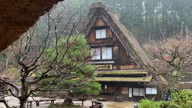 下呂温泉旅行♨️  (大阪から一泊2日)