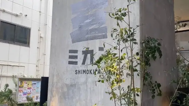 【東京】下北沢で話題のスポット！昼のみからのカフェ、古着屋さん巡り🍊