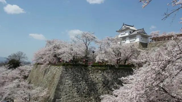 【岡山県】観光列車「SAKU美SAKU楽」に乗って津山を観光🌸