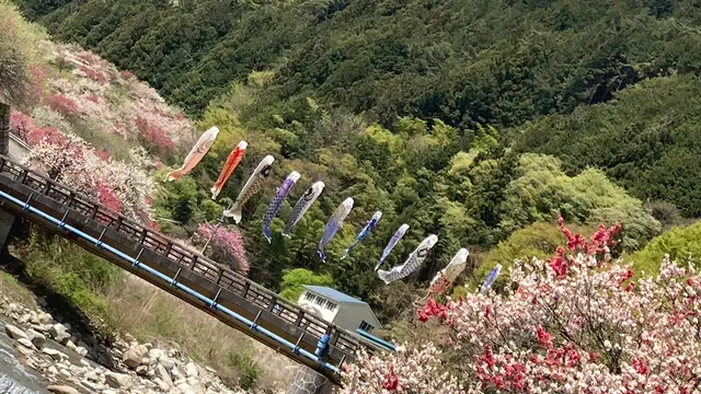 春の南信州旅行