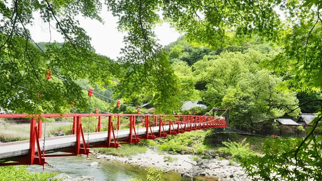 新緑の候*五月小旅行