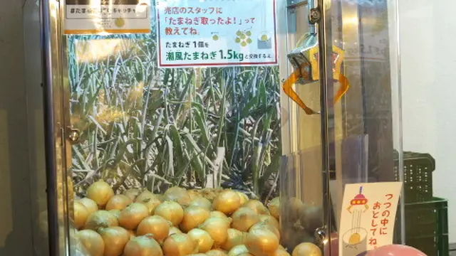 たまねぎUFOキャッチャーって!?淡路島たまねぎづくしの旅