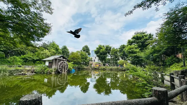 【渋谷】駅周辺の公園マップ🛝穴場/休憩スポット/子どもの遊び場