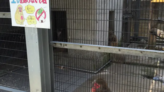 みんな子育て楽しもうぜ！鳥取駅徒歩圏内の子連レッツプラン！