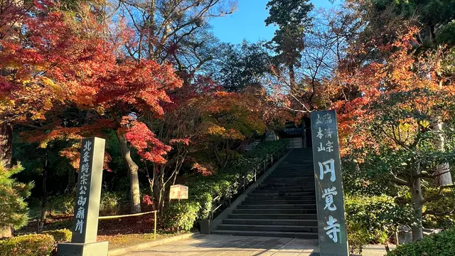 【鎌倉】1日で鎌倉を周り尽くすプラン。