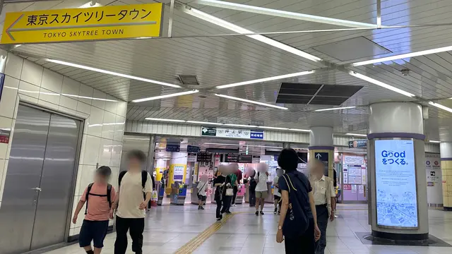 【スカイツリー・浅草エリア】涼しく楽しめる1日プラン🌻