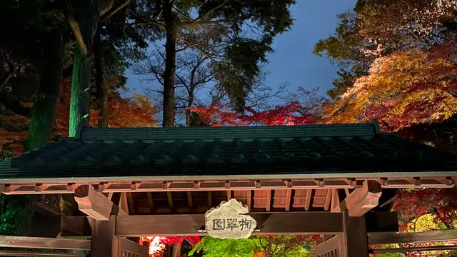 栃木県 鹿沼ぶっつけ秋祭りを鑑賞!鹿沼市を巡る旅