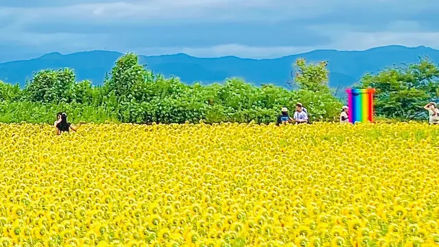 あわら温泉周辺をチャリで巡る