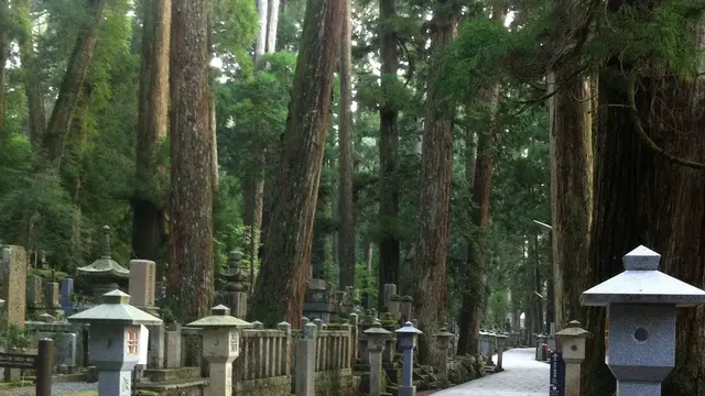 霊験あらたか、高野山と熊野のたび