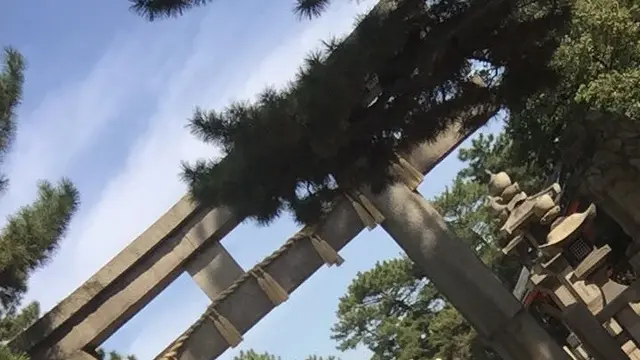 ひとりふらっとおでかけ住吉大社へいらっしゃい