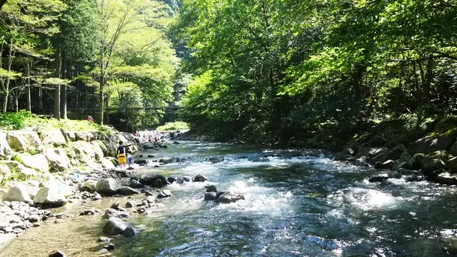 静岡市清水森林公園やすらぎの森