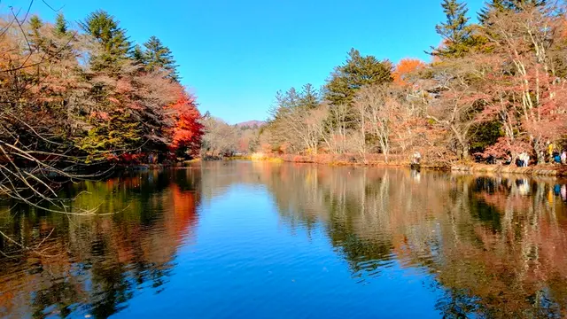 ふらっと軽井沢🍃たくさん歩いて景色と食を楽しむ1日🚶