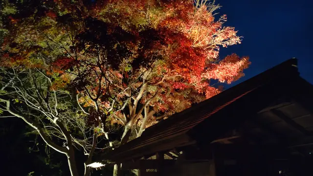 紅葉始まる箱根湯本。日帰り温泉