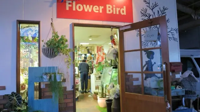 筑後のモテ男がオススメするフラワースポット！花を贈って気になるあの子もメロメロ！ぷらんぷらんプラン！