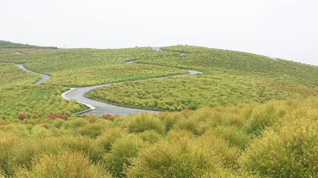 季節毎に様々な顔を見せてくれる公園デス。