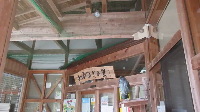 ひょっこり あらぎ島が出現