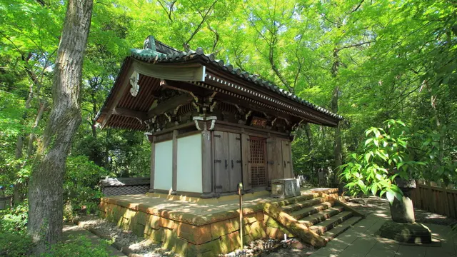 おすすめの調布市観光スポット!