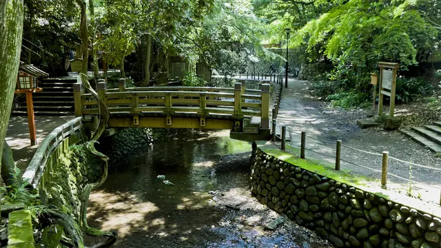 等々力渓谷渓谷渓谷渓谷渓谷