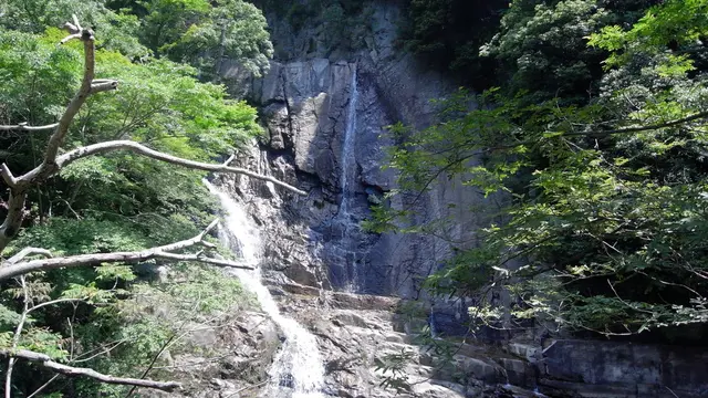日野🌲御嶽渓谷🏞都内のドライブ🚘