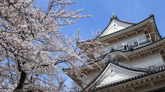 家族とおでかけ。春の散策城下町小田原。